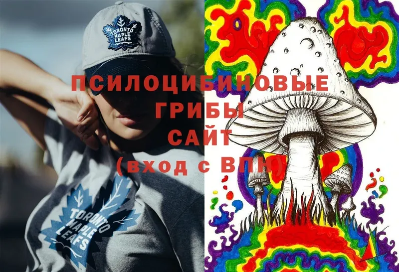 OMG ТОР  где продают   Прокопьевск  Галлюциногенные грибы MAGIC MUSHROOMS 